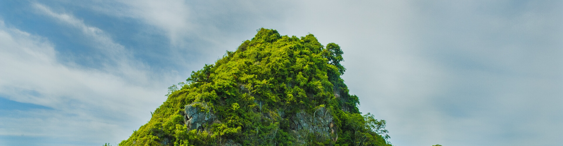 COASTAL VOYAGE ADVENTURES LTD Offers